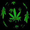 1417742.gif